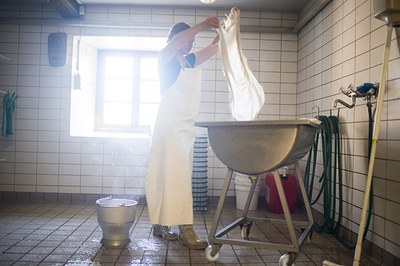 Per un'economia più verde