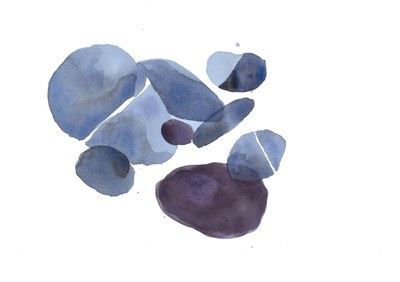 Pietre preziose per la biodiversità