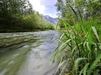 RHESI entra in una nuova fase