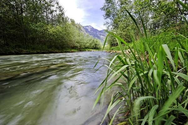 RHESI entra in una nuova fase