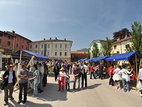 Topi di città, topi di campagna: uniti siamo forti