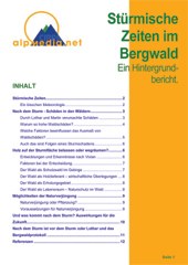 Stürmische Zeiten im Bergwald (Tempi tempestosi per il bosco di montagna). Una relazione specifica.