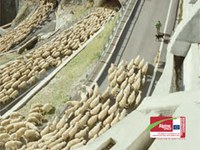 Webs of Life - Alpine biodiversity needs ecological connectivity