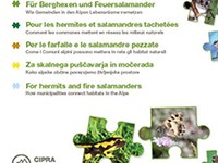 Per le farfalle e le salamandre pezzate