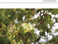 Politica forestale 2020