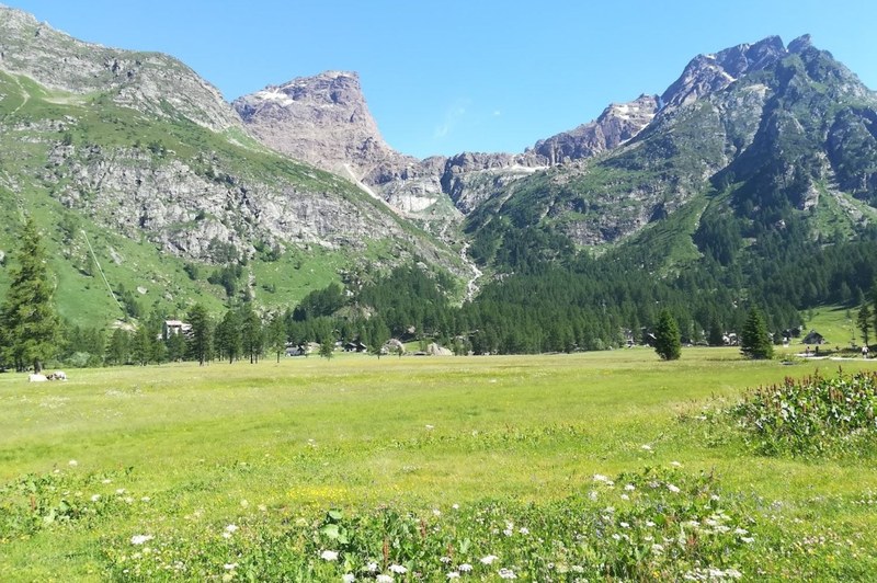 Planota Alpe Devero v dolini Ossola je eno od zavarovanih območij, omenjenih v dosjeju o konferenci. © Francesco Pastorelli