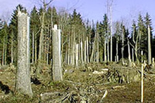 Avstrija: vzpostavitev sistema opozarjanja pred neurji