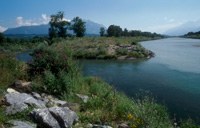 Poziv k uresničevanju zasnove za prihodnji razvoj Alpskega Rena