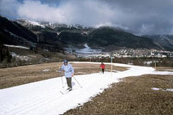 Ali so smučarji postali vrsta, ki izumira?