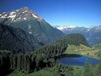 Prosta pot za nova velika zavarovana območja v Švici