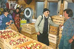 Evropa: zaskrbljenost zaradi ekološkega kmetovanja