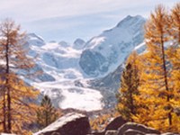 Biotska raznovrstnost se izplača - Zavarovana območja dajejo alpskemu svetu prijetno podobo ter pomagajo človeku in naravi