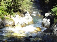 Hidroelektrarna ogroža projekt ustanovitve narodnega parka Locarnese