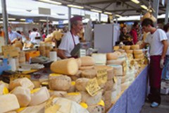 Razprava o teritorialni koheziji v Evropi