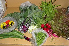 Ekološki proizvodi: veliko povpraševanje, a regionalna ponudba ne zadostuje