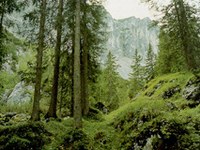 Raziskovanje posledic podnebnih sprememb