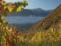 Ustanovitev novega Delinatovega inštituta za ekologijo in podnebno pogojeno kmetijsko dejavnost