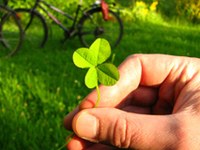 Prireditve, ki so sprejemljive za okolje in družbo