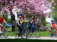 Pogled s strani: energijska samozadostnost - prava pot za občine z vizijo