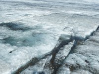 Sajasti ledeniki se talijo hitreje