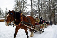 Na smučišče s pomočjo sončne energije in konjske moči