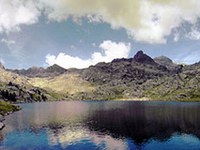 Zavarovana območja se vse bolj zbližujejo