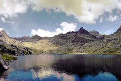 Zavarovana območja se vse bolj zbližujejo