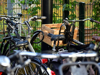 Call to action - razpis za podjetja in ustanove