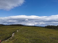 [Dogodek] Koliko več je preveč?