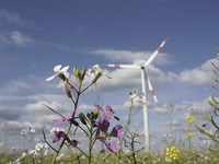 Energija in narava v Alpah v ravnovesju