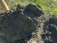 EU želi zdrava tla do leta 2050