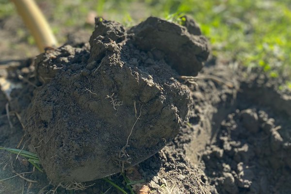 EU želi zdrava tla do leta 2050