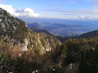 Posvet: Funkcije gozdov z vidika podnebnih sprememb