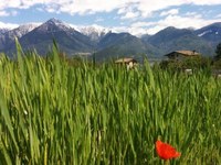 Italijanske Alpe med svetlobo in senco