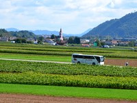 Javni potniški promet na osrednjem Gorenjskem - prispevaj svoje mnenje
