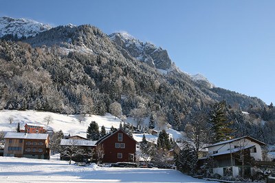 Kako lahko neokrnjeni ekosistemi zagotavljajo kakovostnejše življenje