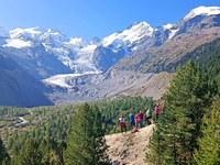 Mednarodne ledeniške karavane