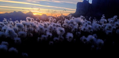 Na poti brez puščanja sledi