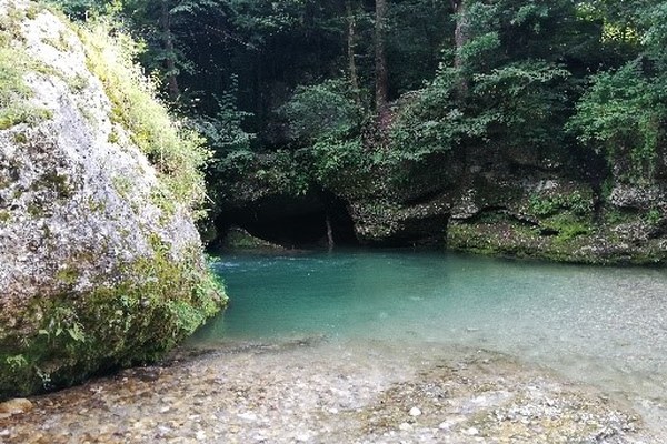 Napovedujemo: Onesnaževanje podzemnih in površinskih vod v dolini Kamniške Bistrice in Kokre