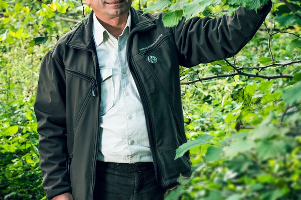 Nega gozda mora biti usmerjena in premišljena