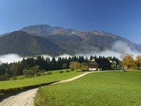 Perspektive za mlade