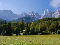 Predstavitvena konferenca - SMER TNP