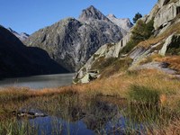 Prelomna odločitev za varstvo mokrišč