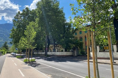 Prilagajanje podnebnim spremembam: Merano s strategijo do kakovostnejšega življenja