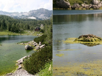 Problematika Dvojnega jezera