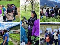 Rodovitna prst v tvojih rokah