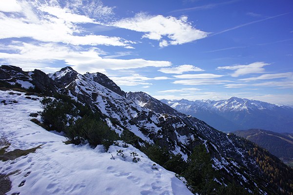 Skupna podpora Alpam