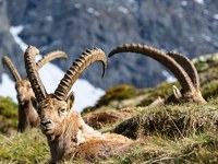 Trajnostni turizem od spodaj