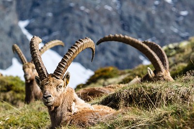 Trajnostni turizem od spodaj
