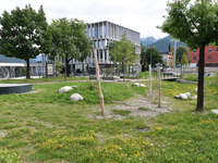 Tri leta ekološkega saniranja tal tla: zaključna bilanca projekta Ground:breaking